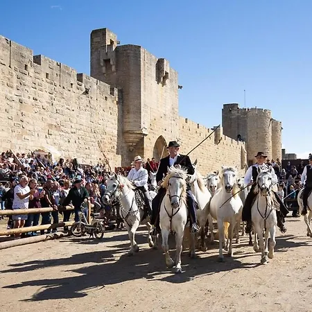 Maison Historique Au Coeur Des Remparts * Aigues-Mortes